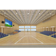 Prefab Professional Stahlstruktur Sport Hall Basketball Court Stadium Dach Design